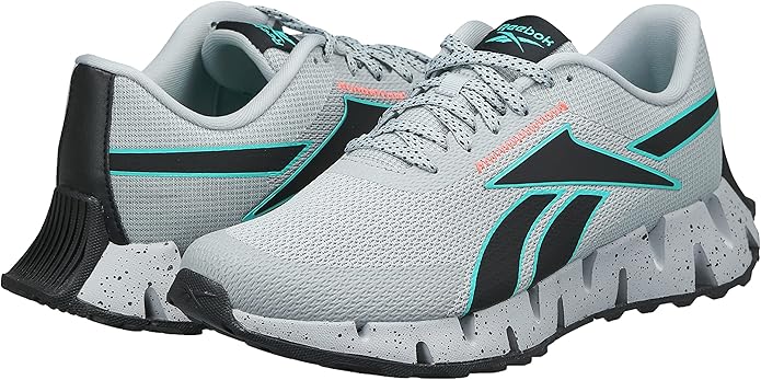 REEBOK ZIG DYNAMICA 2 ADVENTURE Men's Running Shoes