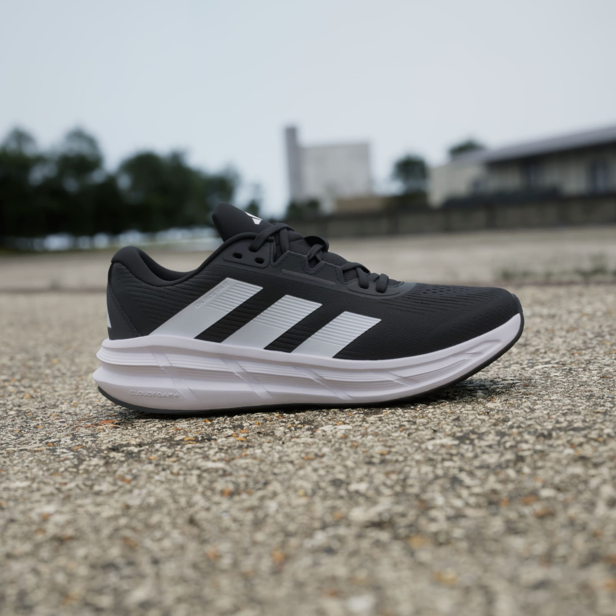 Adidas Questar 3 M Running Men's Shoes